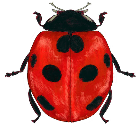 Print Club Subscription